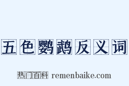 五色鹦鹉反义词是什么意思的图片